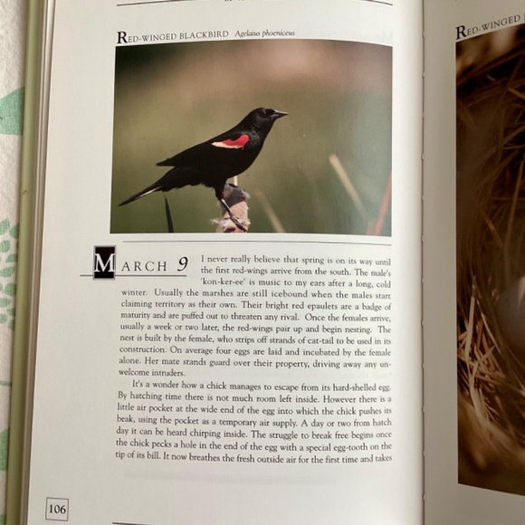 Close to Home - A Canadian Country Diary - Bill Ivy - Picture 6 of 10